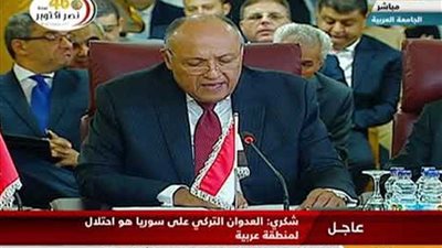 شكري: النظام التركي يحاول الخروج من أزمته الداخلية عبر العدوان على سوريا