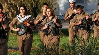 الجمال المحارب ينسف غرور 