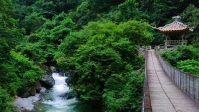 وادي الخيزران الأسود بالصين.. احذر الداخل مفقود لم ينجُ أحد