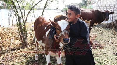 أطفال الريف لعب وجد وشغل في أحضان الطبيعة