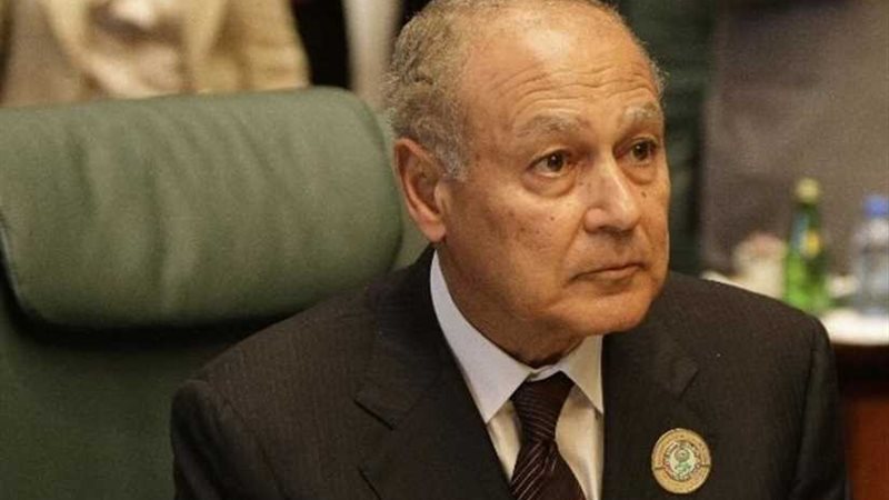 أبو الغيط يشارك في