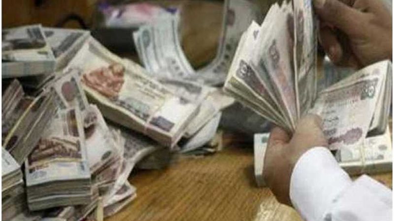 المالية تنفي تثبيت