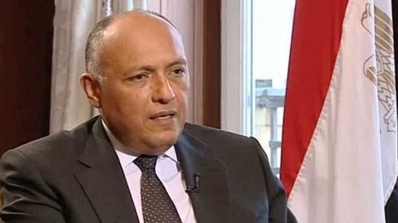 شكري يبحث مع نظيره