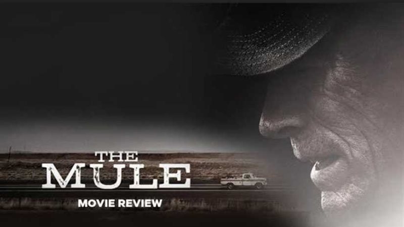 الأربعاء.. عرض فيلم