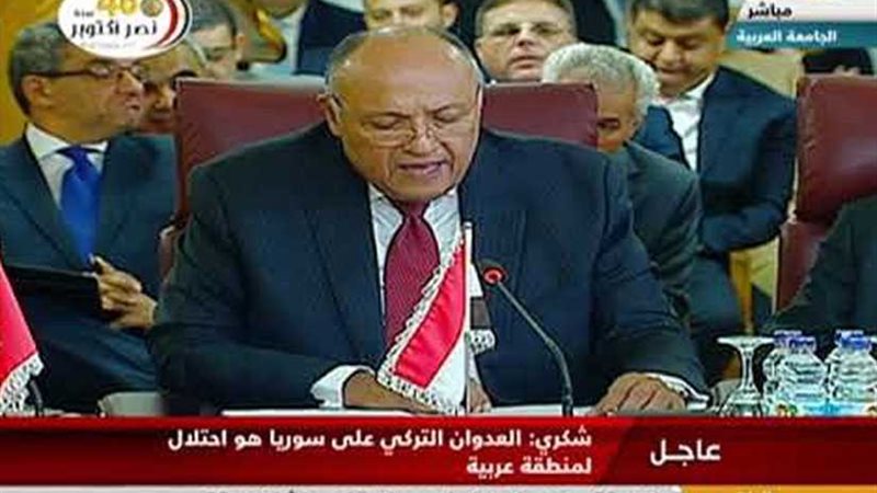 شكري: النظام التركي