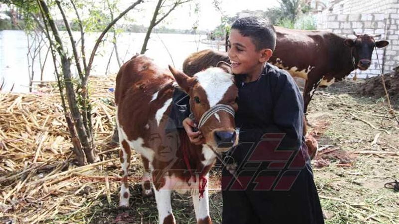 أطفال الريف لعب وجد