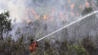 إغلاق المدارس وإلغاء الرحلات الجوية بجزيرة 