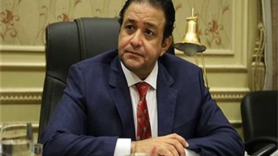 لجنة حقوق الإنسان بالنواب : قضايا المرأة من أهم أولويات الرئيس السيسي