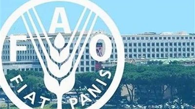 الفاو تحذر : 14% من الأغذية المنتجة عالميًا تهدر