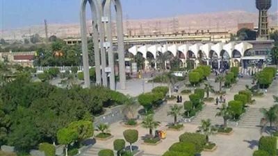 سوق خيرية بالتعاون مع نادي روتاري وجامعة حلوان