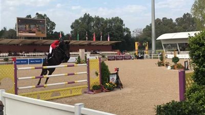 بعد 60 عاما.. فرسان مصر في 