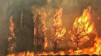 تراجع حدة الحرائق في لبنان بعد تساقط الأمطار بشكل متفرق