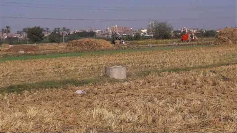 حصاد 121 ألفا و221