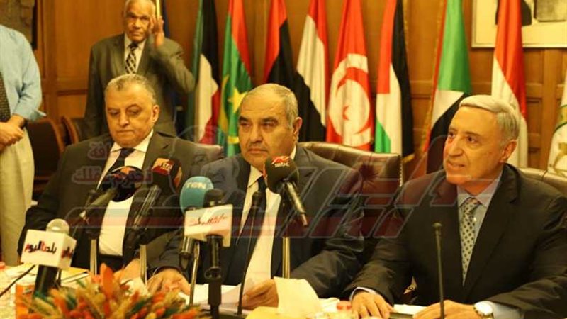 رئيس الدستورية العليا: