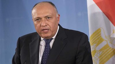 وزير الخارجية يلتقي رئيسة البرلمان اللاتفي ضمن زيارته الحالية إلى ريجا