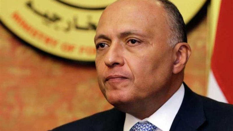 شكري يبحث مع نظيره