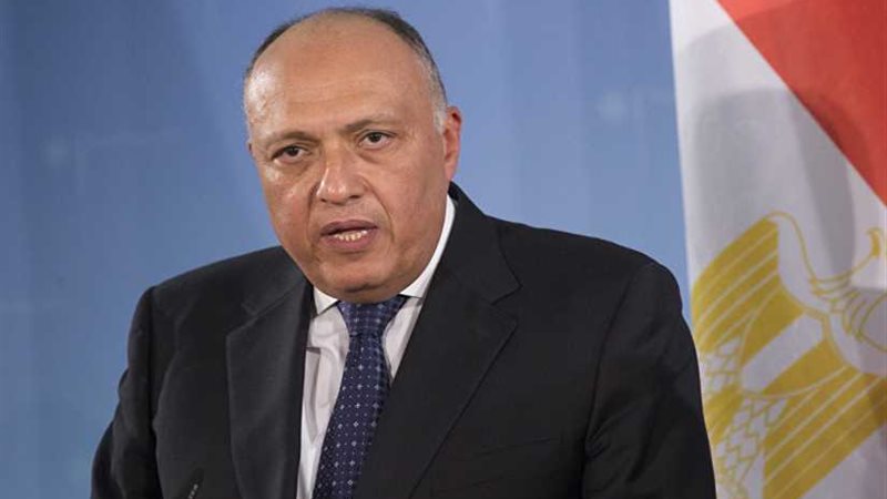 وزير الخارجية يلتقي