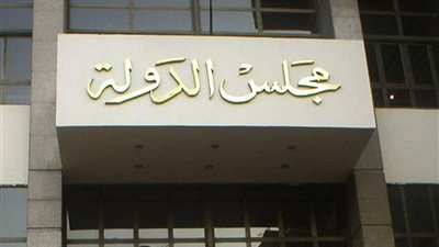 الحكم في دعوى ترحيل السوريين المخالفين من مصر 23 نوفمبر