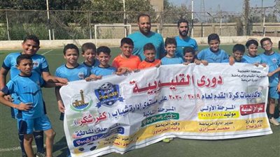 تصفيات دوري أكاديميات كفر شكر