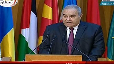 رئيس المحكمة الدستورية: التعاون بين مصر والدول العربية سيستمر