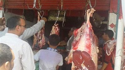 حملات مكبرة للطب البيطري على محلات الجزارة بمراكز المنيا