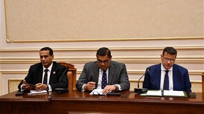 رضوان: إفريقية النواب ستسخر كل أدواتها لمساندة موقف الدولة بشأن الأمن المائي