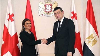 عاجل.. بعد توقفها 9 سنوات.. تفعيل عمل اللجنة المشتركة للتعاون الاقتصادى بين مصر وجورجيا