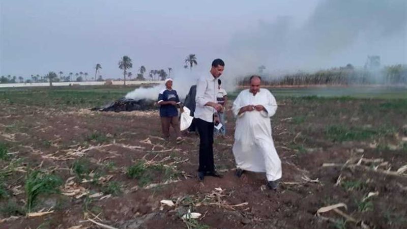 محافظ أسيوط: تعظيم