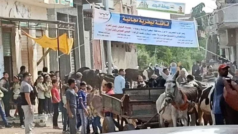 المصريين الأحرار