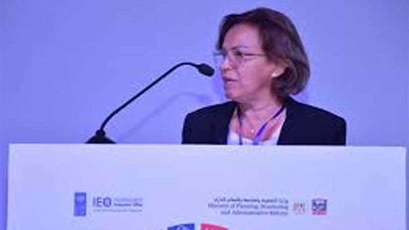 الأمم المتحدة: الحكومة