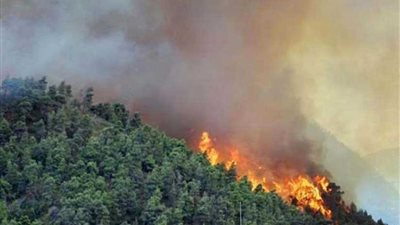 إجلاء أكثر من 50 ألف شخص جراء حرائق الغابات في كاليفورنيا