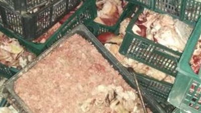 ضبط 5 أطنان أحشاء حيوانات فاسدة في معمل لتصنيع اللحوم