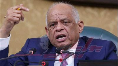 عاجل .. النواب : مصر ستستمر في جهودها الوطنية لتعزيز حقوق الإنسان، ولن تثنيها أي أصوات مغرضة