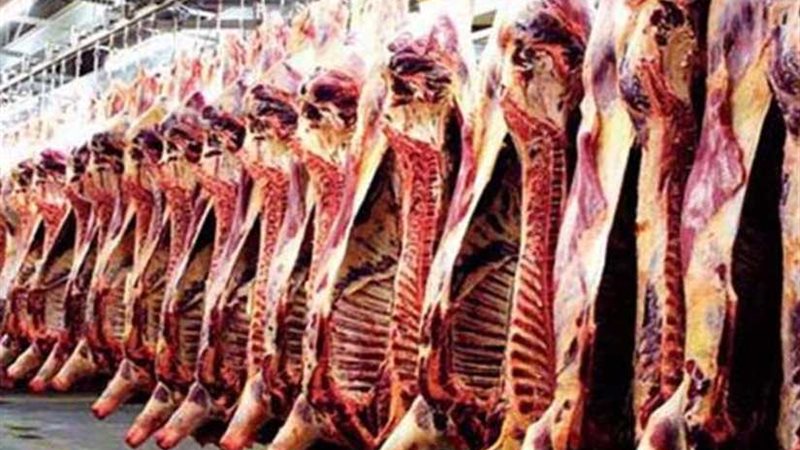 الزراعة تنفي استيراد