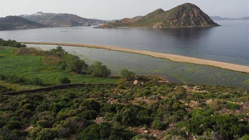 خبراء: أضرار تناقص