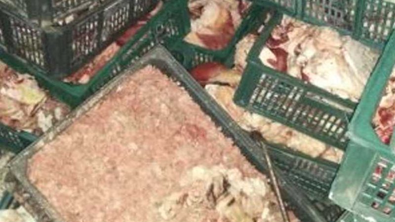 ضبط 5 أطنان أحشاء