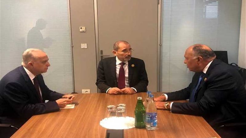 شكري خلال لقائه وزيرى