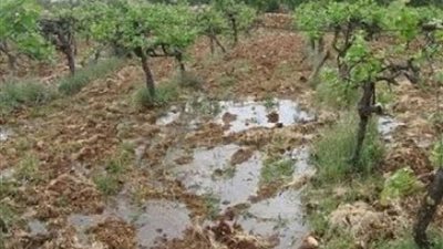 مستوطنون يغرقون الأراضي الزراعية جنوب نابلس بمياه الصرف الصحي