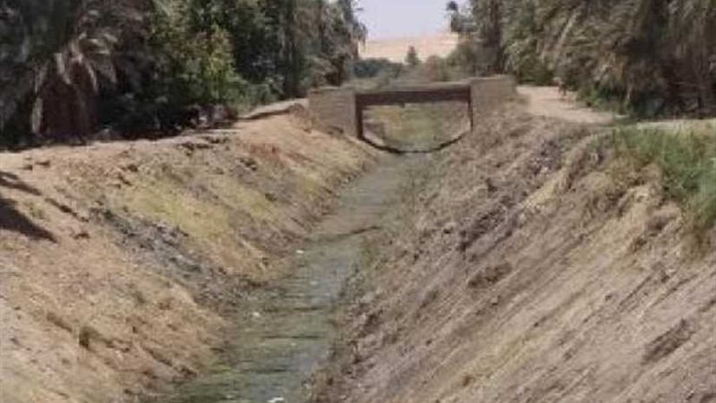 الزراعة تعلن استعداد