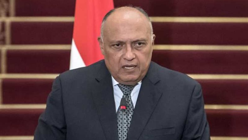 شكري يؤكد الأولوية