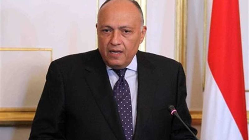 شكري : التصدى للإرهاب