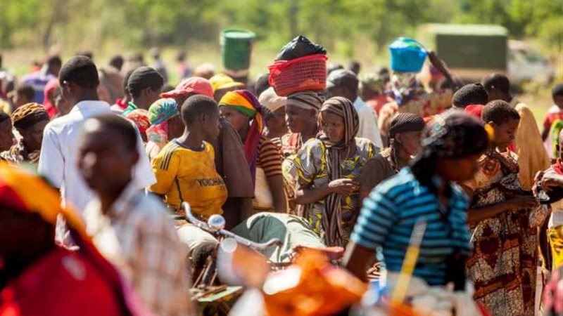 العليا لشئون اللاجئين