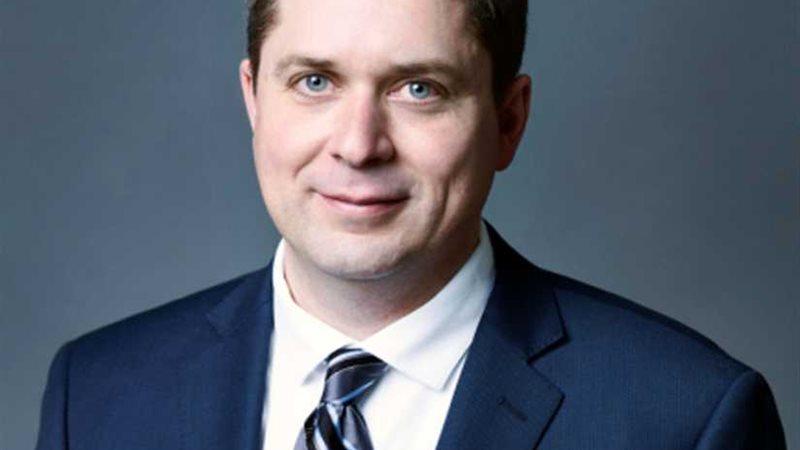 تزايد الدعوات المطالبة