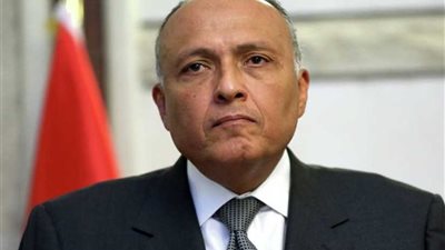 غدا.. البرلمان العربي يتضامن مع مصر في حماية أمنها المائي