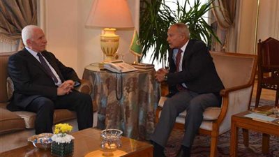 أبو الغيط : الانتخابات الفلسطينية خطوة ضرورية لإنهاء الانقسام