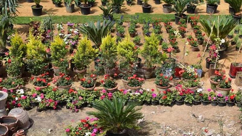 لأول مرة.. انطلاق