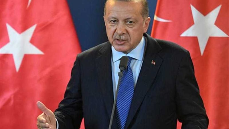 فضيحة.. أردوغان يشبه