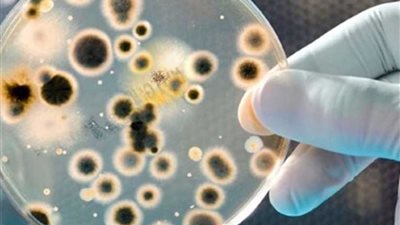 انتشار فيروسات وميكروبات وبائية مُميتة في الهواء شائعات