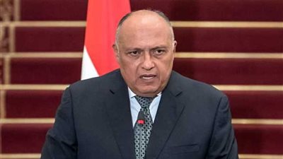 عاجل.. وزير الخارجية يتوجه إلى واشنطن لبحث ملف سد النهضة