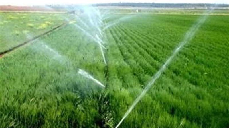 لا صحة لتوجه الحكومة